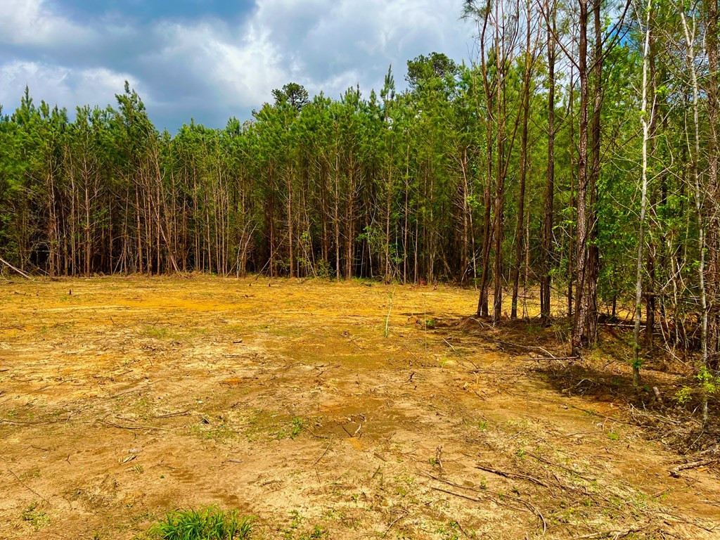 1111 Boyd Reeves Road Jayess, MS 39641 - Photo 2 of 7 Photo 2