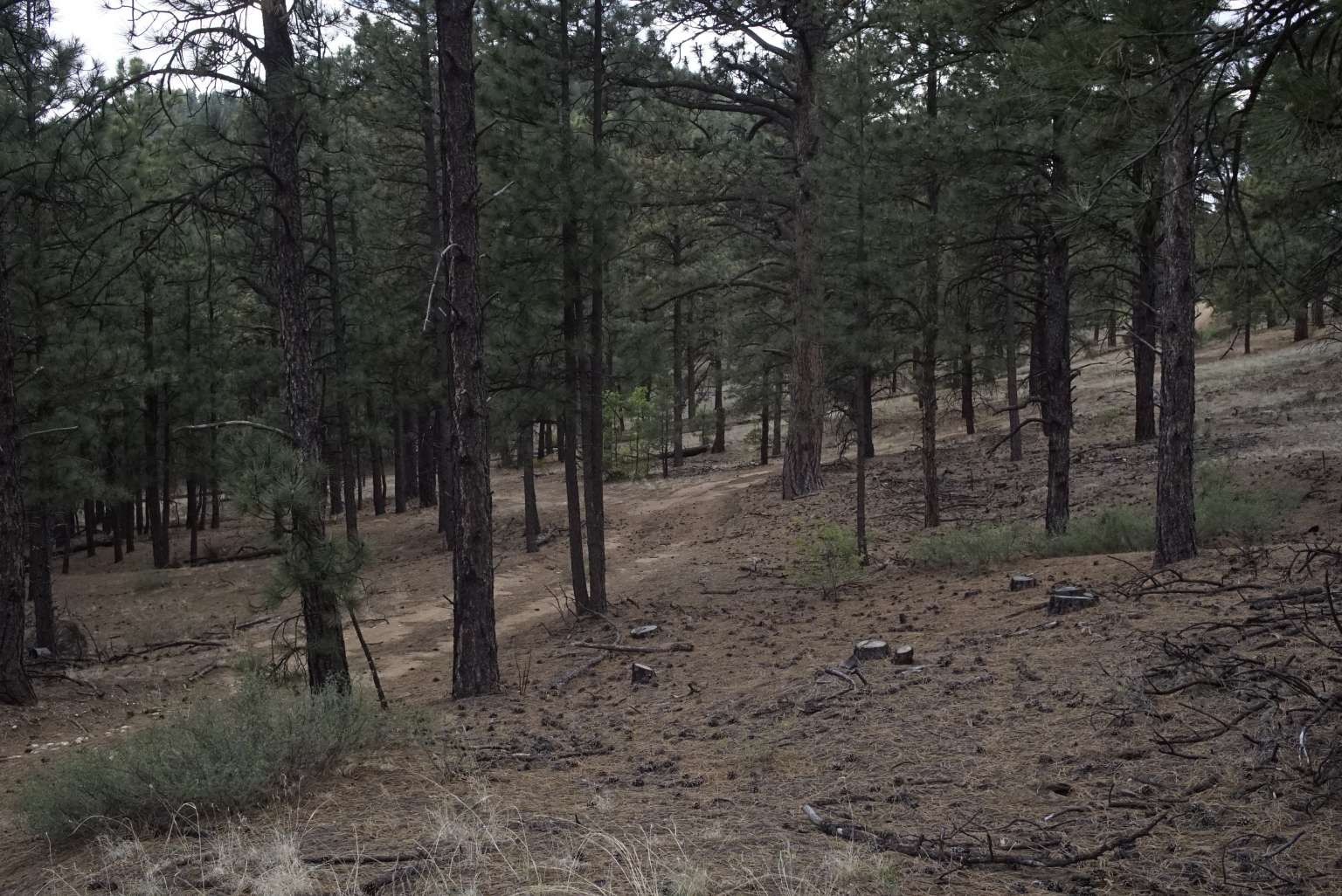 0 A015 County Road Mora, NM 87732 - Photo 24 of 40