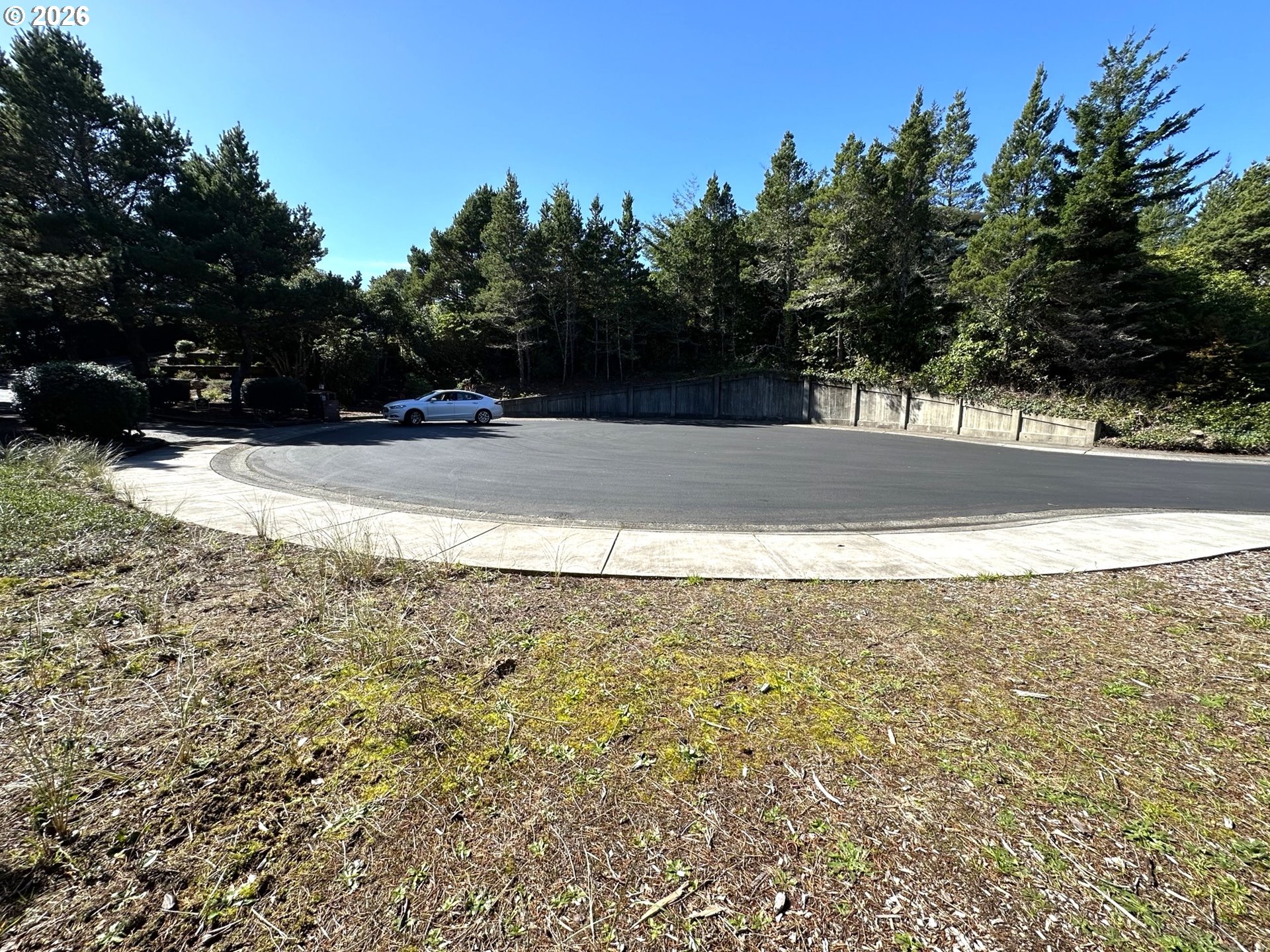 Sailors Ravine Court Florence, OR 97439 - Photo 6 of 18 a view of a yard with a tree