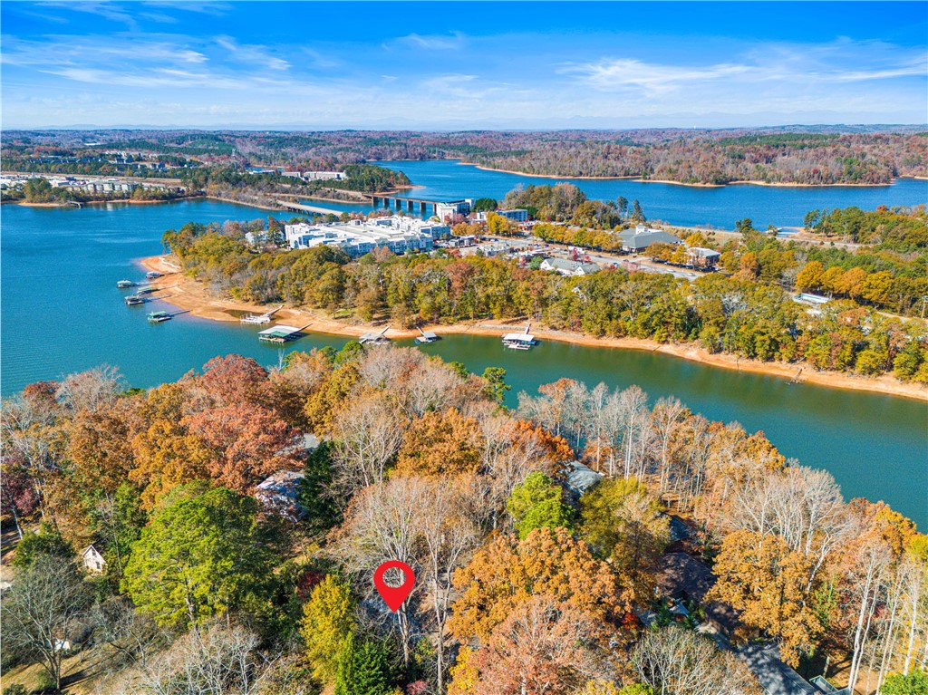 511 Shorecrest Drive Clemson, SC 29631 - Photo 6 of 50