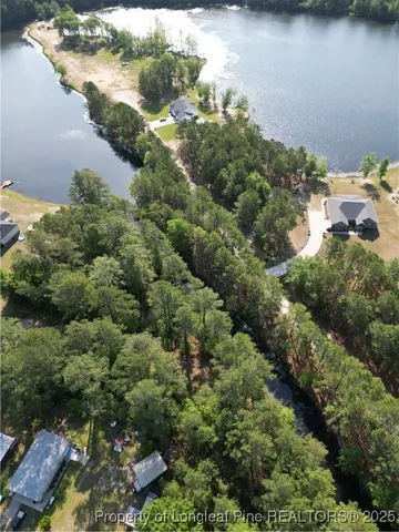an aerial view of a house with a yard and lake view