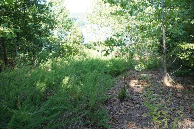 $70,000 | Trident Dr Drive, Stover, MO 65078