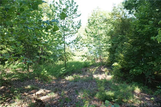 $70,000 | Trident Dr Drive, Stover, MO 65078