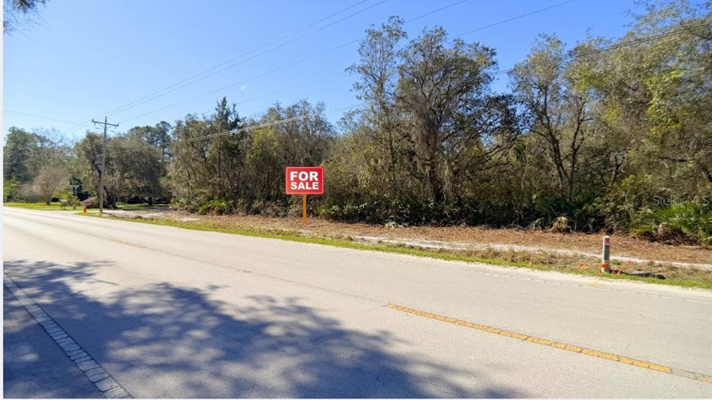 Tbd Tbd Corner Northeast Citra, FL 32113 - Photo 4 of 10 a view of street with a building in the background