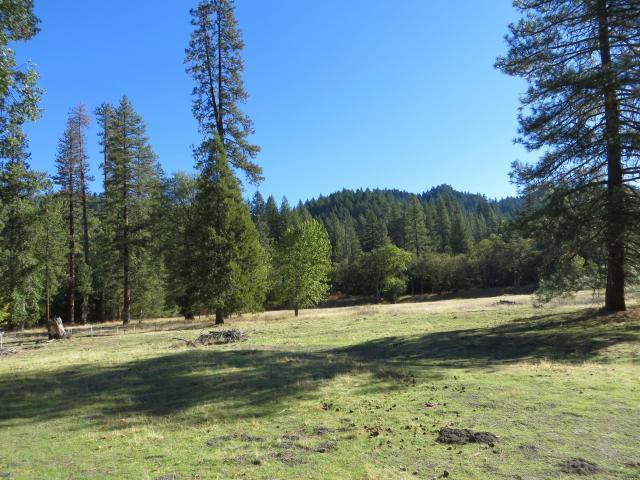 2500 Van Duzen Road Bridgeville, CA 95526 - Photo 45 of 48