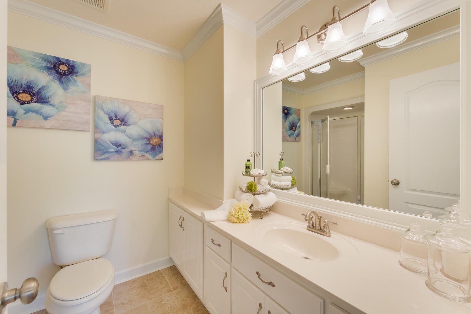 4530 McDonald Road Apison, TN 37302 - Photo 34 of 50 Basement Bathroom