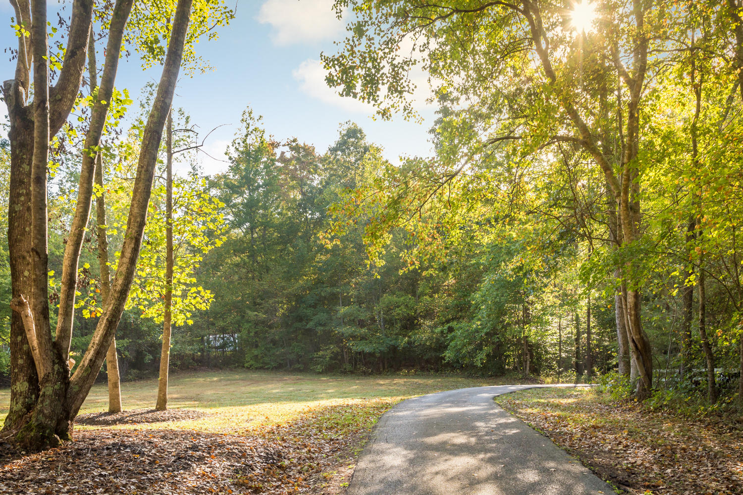 4530 McDonald Road Apison, TN 37302 - Photo 48 of 50 Driveway