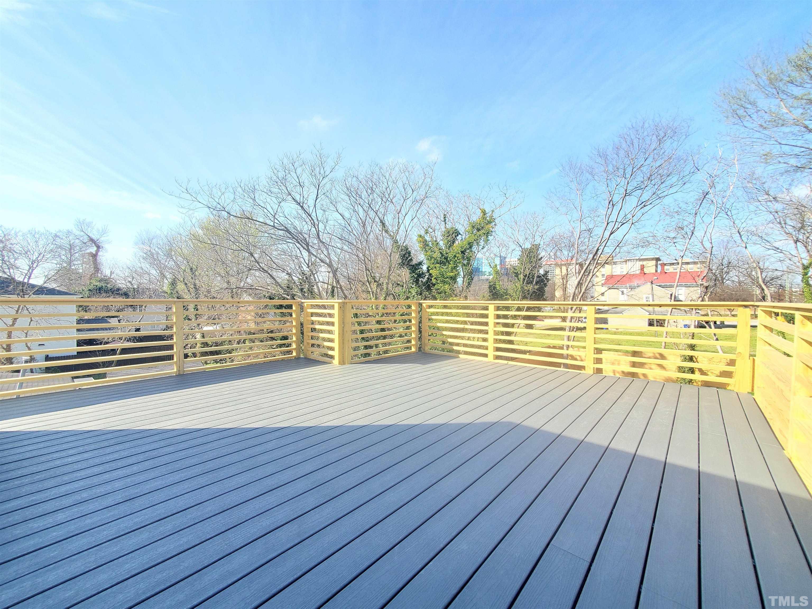 221 Bledsoe Avenue Raleigh, NC 27601 - Photo 25 of 28 a view of an ocean from a balcony