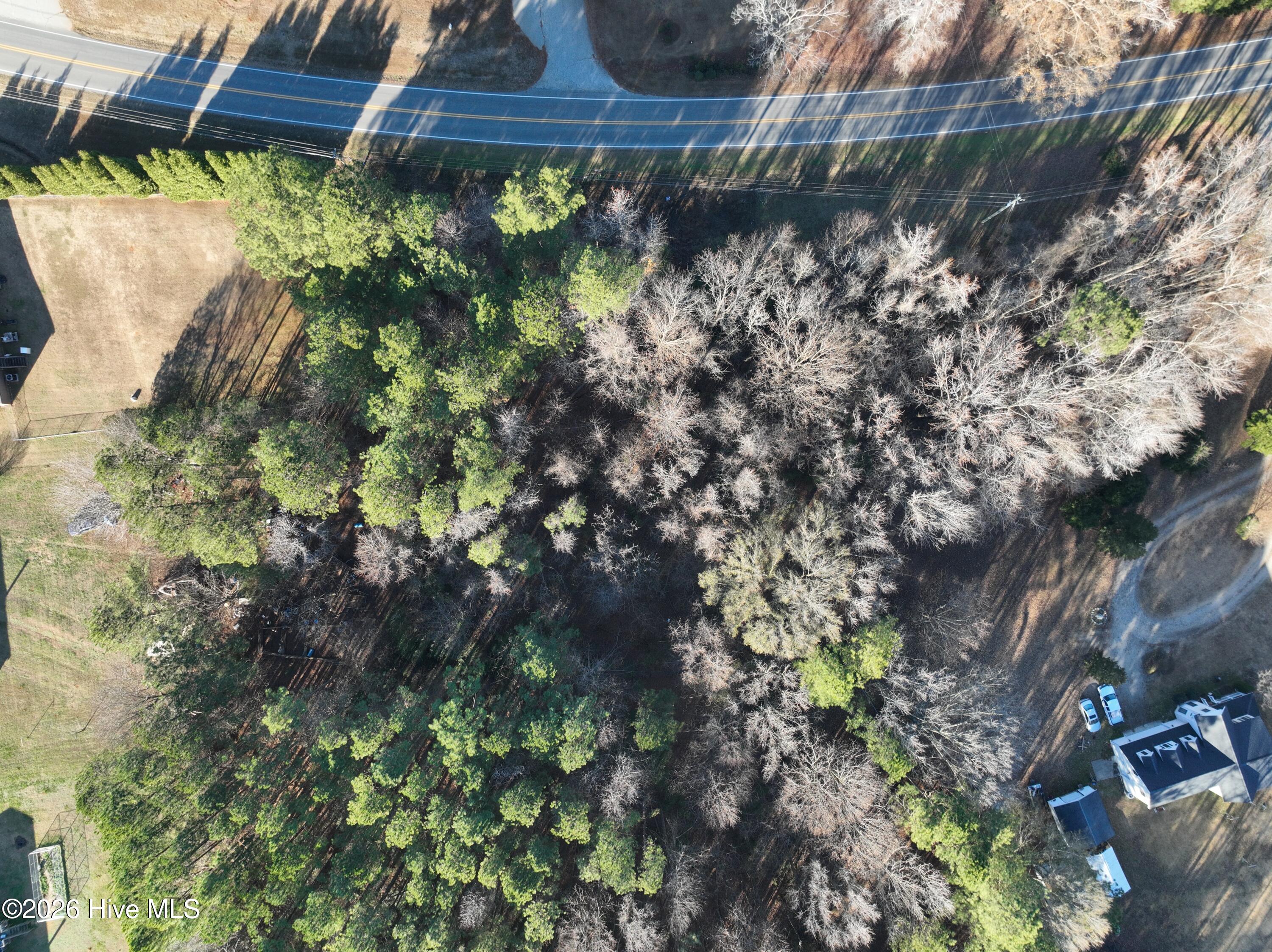 2441 Swift Creek School Road Whitakers, NC 27891 - Photo 8 of 8 07