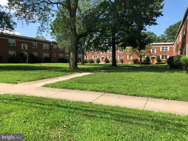 a view of a park with large trees and a yard