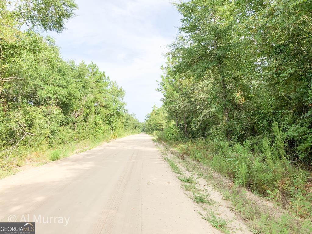 Lot 38 Linden Road Jesup, GA 31545 - Photo 1 of 1 Main View