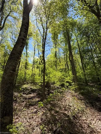 $49,500 | Lot#28 Walter Ridge Road, West Jefferson, NC 28694