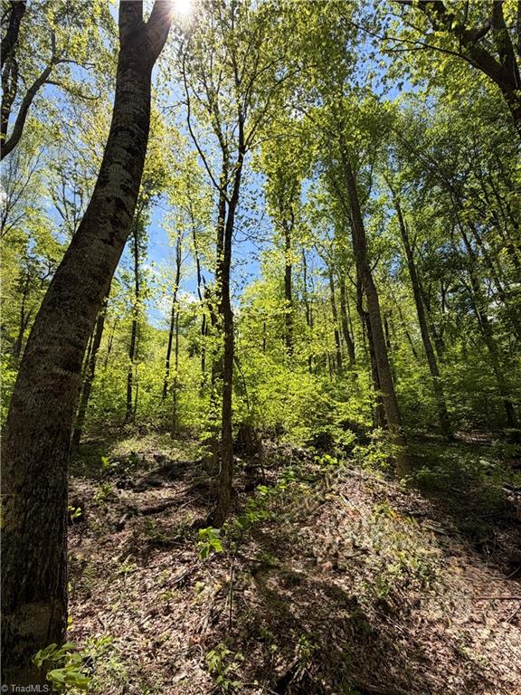 Lot#28 Walter Ridge Road West Jefferson, NC 28694 - Photo 1 of 8