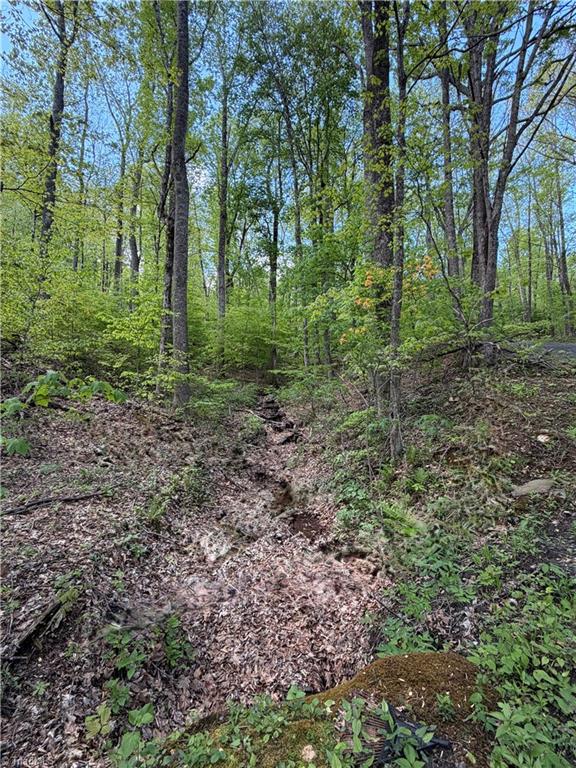 Lot#28 Walter Ridge Road West Jefferson, NC 28694 - Photo 2 of 8