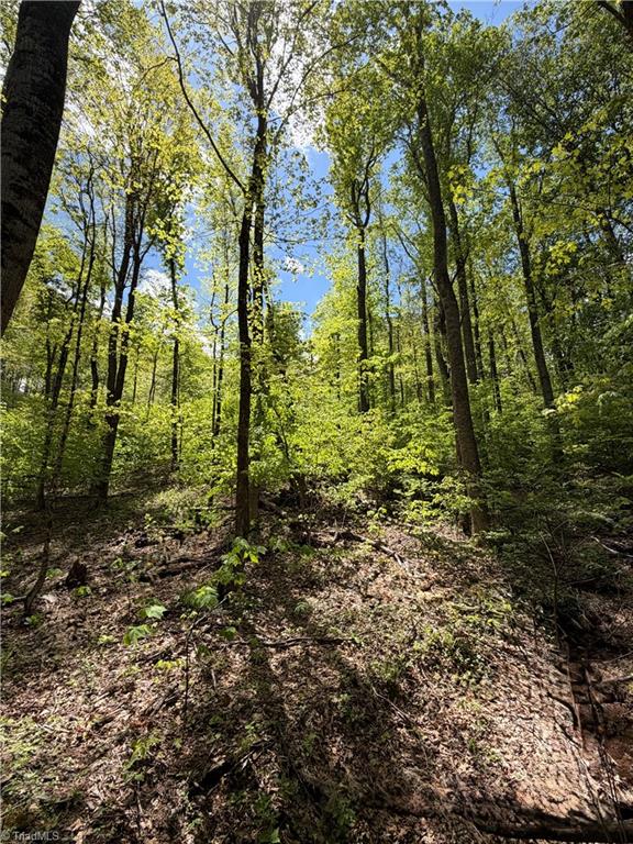 Lot#28 Walter Ridge Road West Jefferson, NC 28694 - Photo 3 of 8