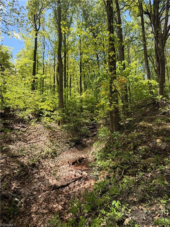 Lot#28 Walter Ridge Road West Jefferson, NC 28694 - Photo 4 of 8