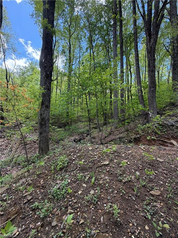 Lot#28 Walter Ridge Road West Jefferson, NC 28694 - Photo 5 of 8