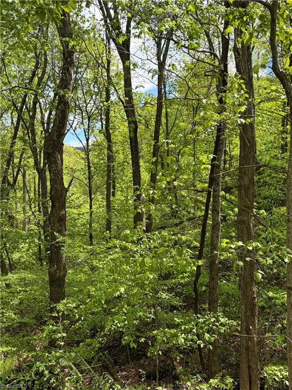 Lot#28 Walter Ridge Road West Jefferson, NC 28694 - Photo 6 of 8