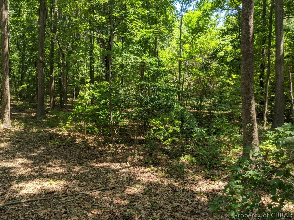 0 North River Road Gloucester, VA 23061 - Photo 6 of 15