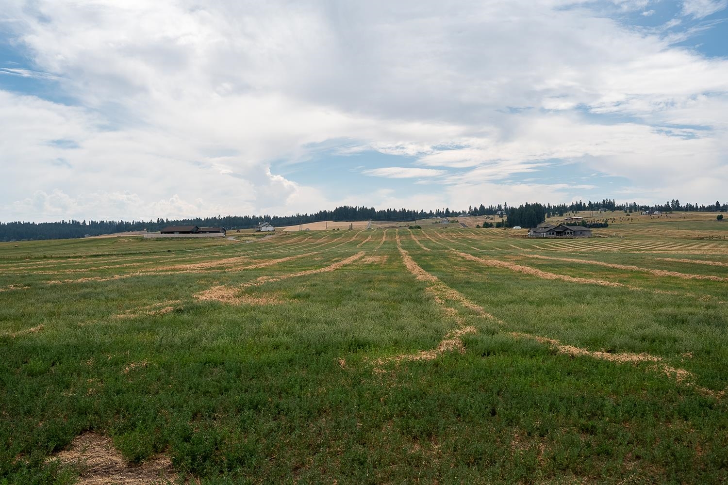 57-xx East Peone Road Mead, WA 99021 - Photo 11 of 18 Gallery Image 11