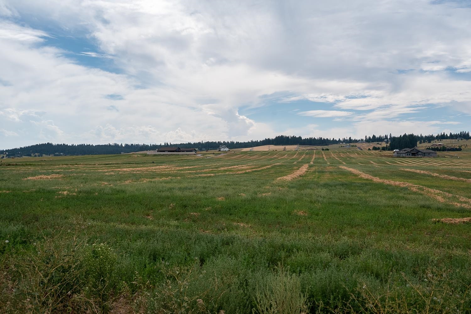 57-xx East Peone Road Mead, WA 99021 - Photo 10 of 18 Gallery Image 10