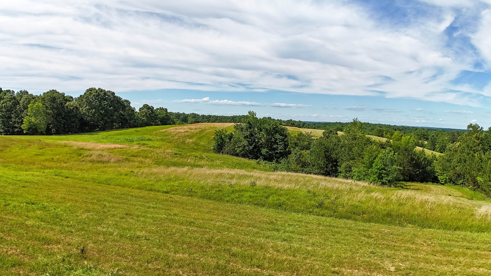 312 Wilson Hollow Road Dickson, TN 37055 - Photo 4 of 34 Gallery Image 4