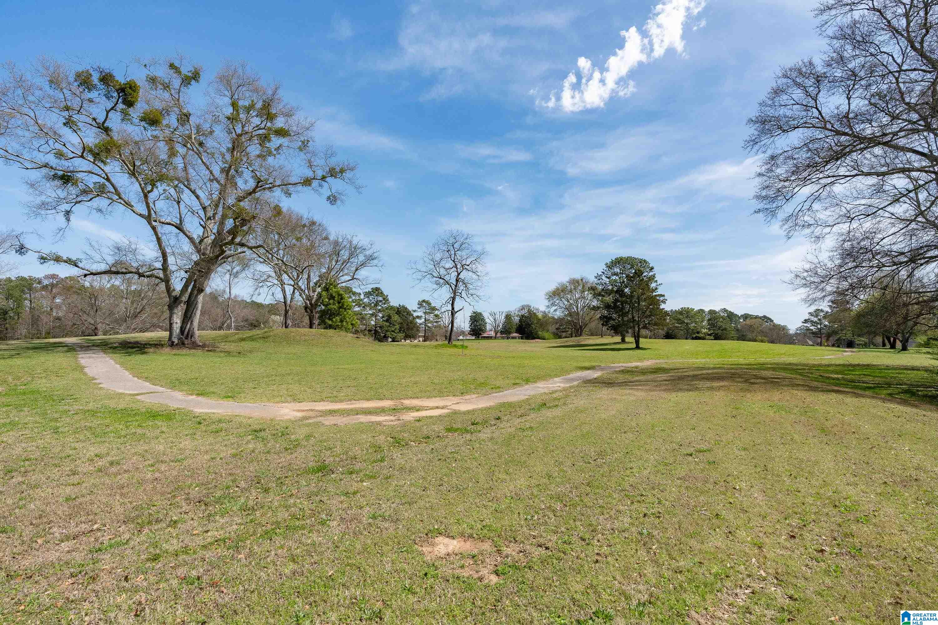 0 Pine Harbor Road, Unit 7 Pell City, AL 35128 - Photo 16 of 17 Gallery Image 16