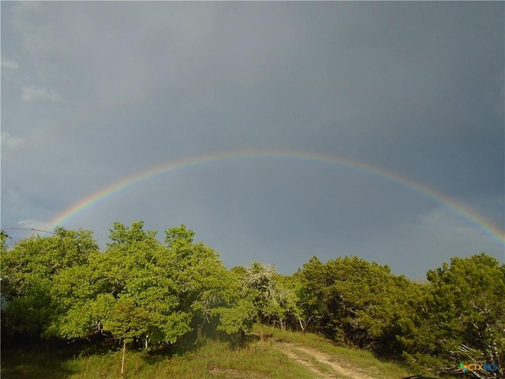 844 Plainview Road Wimberley, TX 78676 - Photo 2 of 10 a view of a lake view