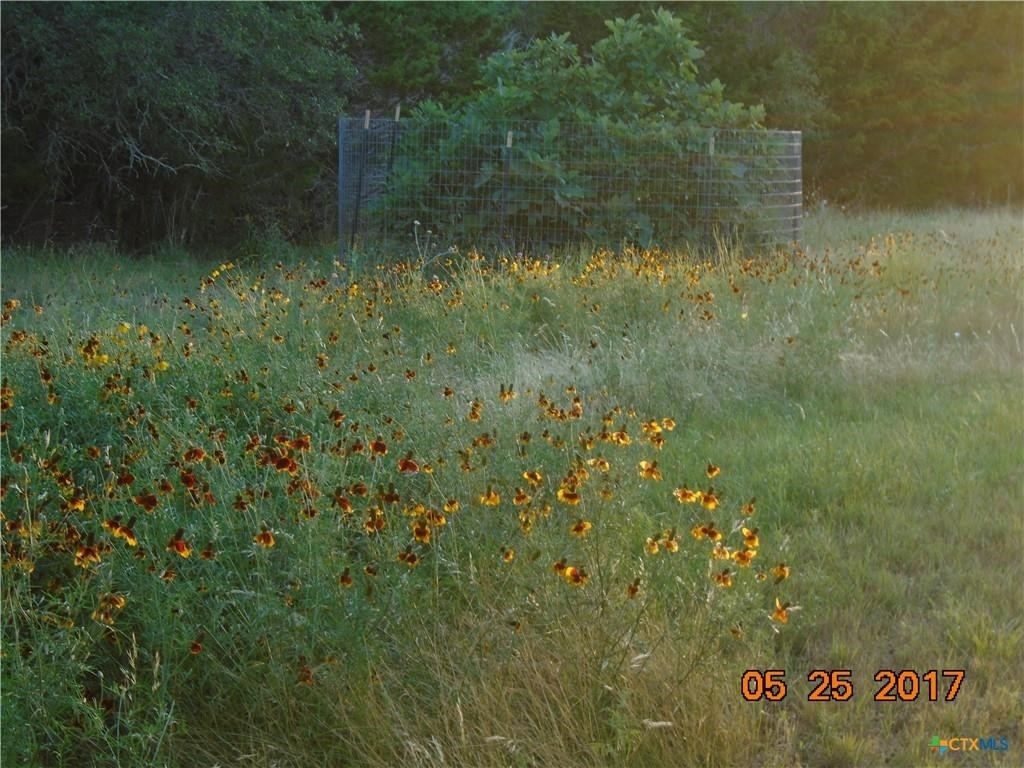 844 Plainview Road Wimberley, TX 78676 - Photo 4 of 10 a view of a lake view