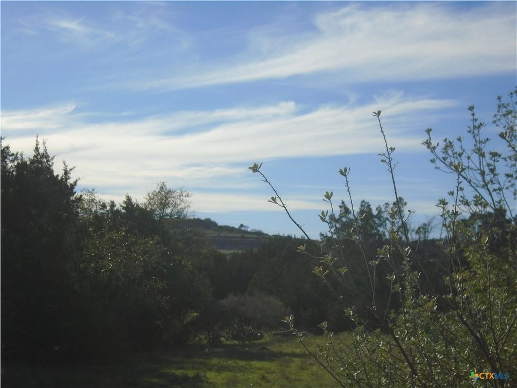 844 Plainview Road Wimberley, TX 78676 - Photo 5 of 10 a view of a lake