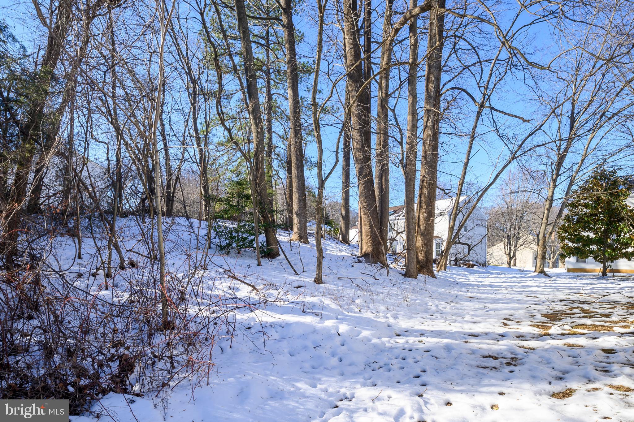 1508 Fairlakes Place Bowie, MD 20721 - Photo 39 of 51 a backyard of a house with lots of green space