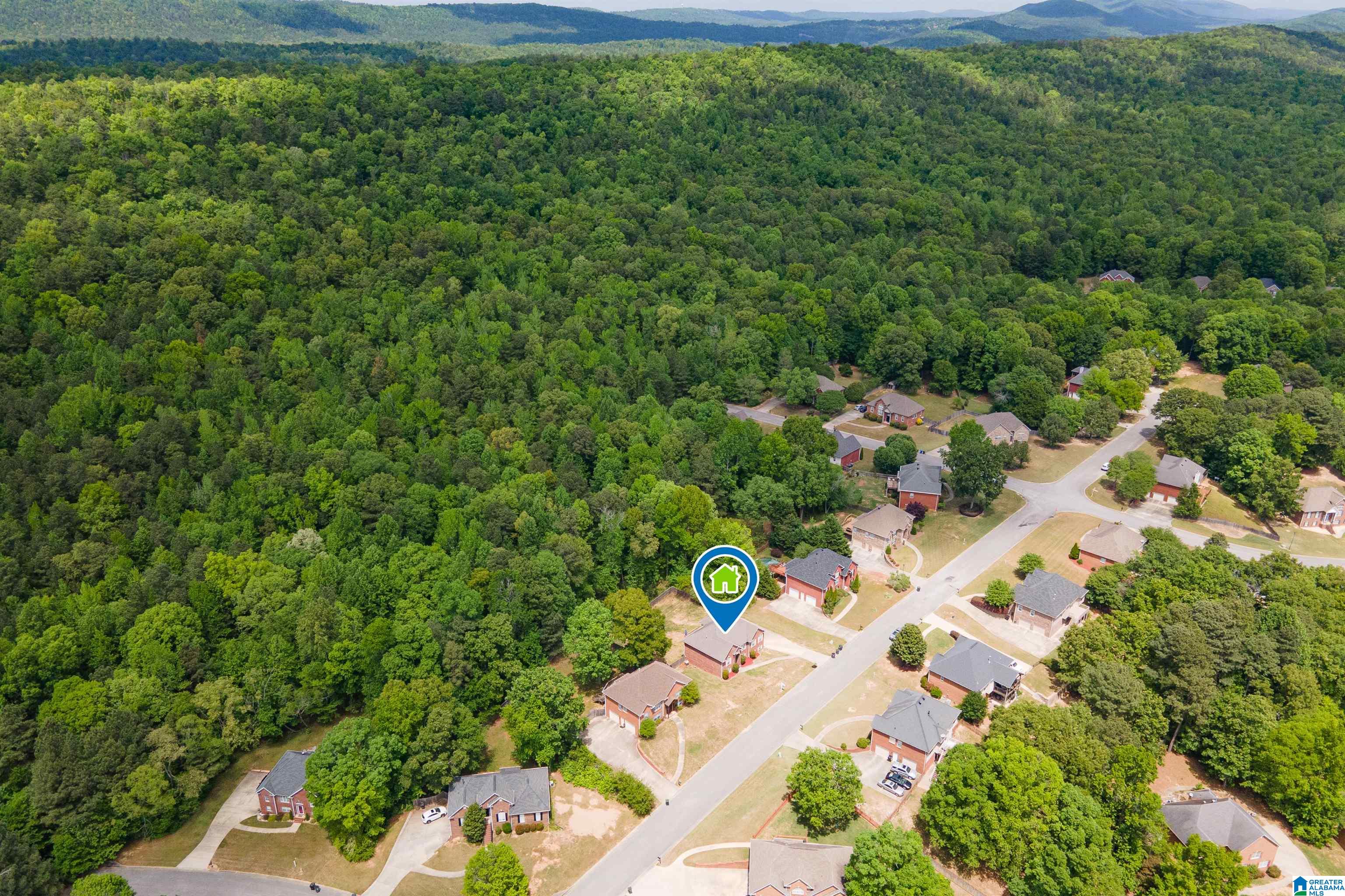 128 Magnolia Ridge Circle Chelsea, AL 35043 - Photo 57 of 57