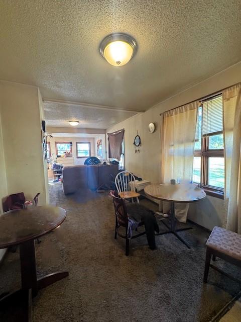 623 East Adams Avenue Mahnomen, MN 56557 - Photo 12 of 21