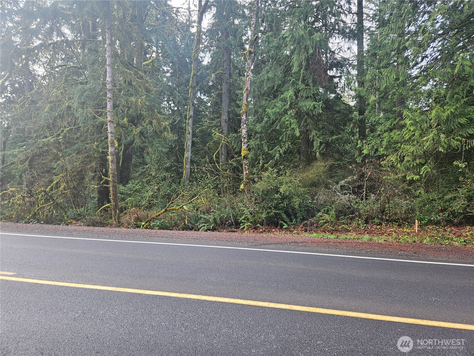 0 Southeast Nelson Road Olalla, WA 98359 - Photo 1 of 3 Gallery Image 1