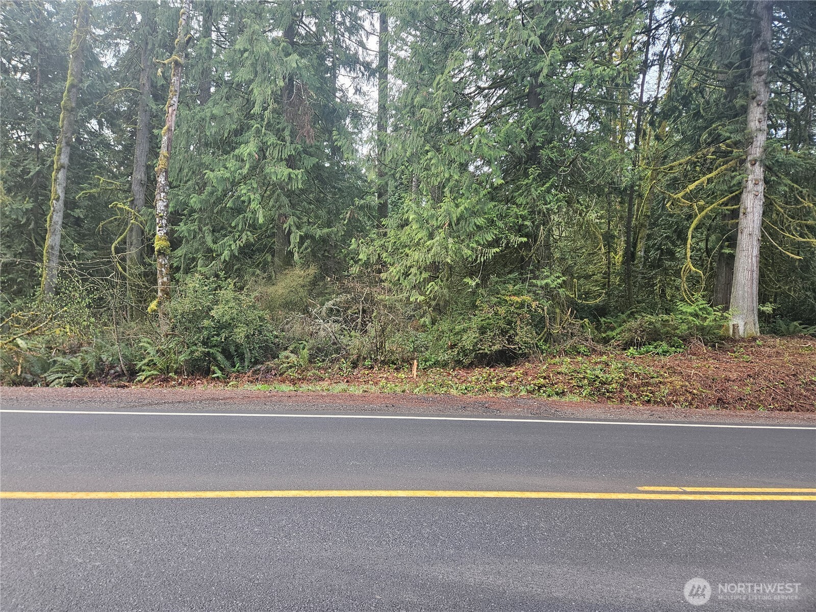 0 Southeast Nelson Road Olalla, WA 98359 - Photo 3 of 3 Gallery Image 3