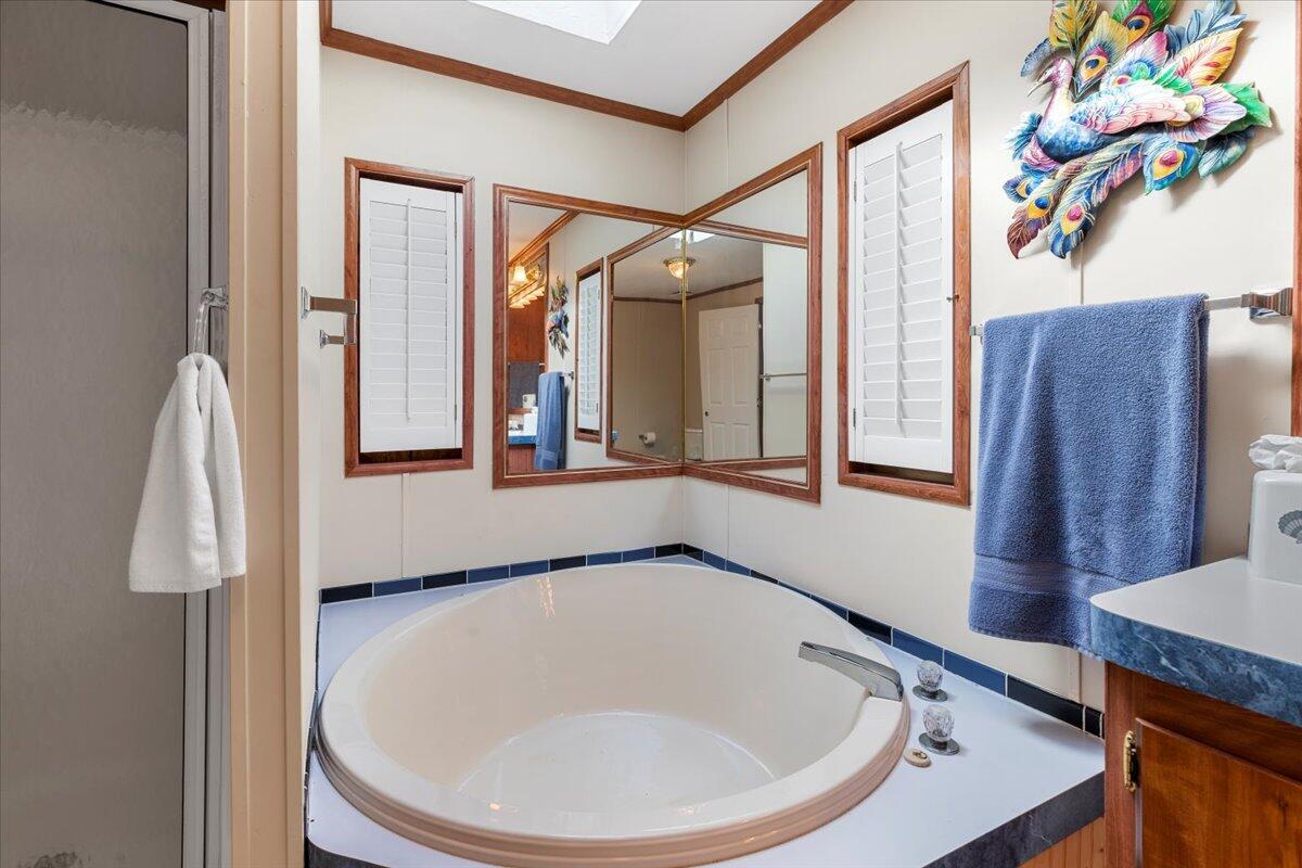 3729 Clark Road Hiwassee, VA 24347 - Photo 32 of 52 a bathroom with a bathtub and a sink