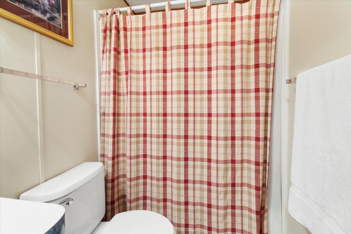 3729 Clark Road Hiwassee, VA 24347 - Photo 38 of 52 a white toilet sitting next to a shower curtain