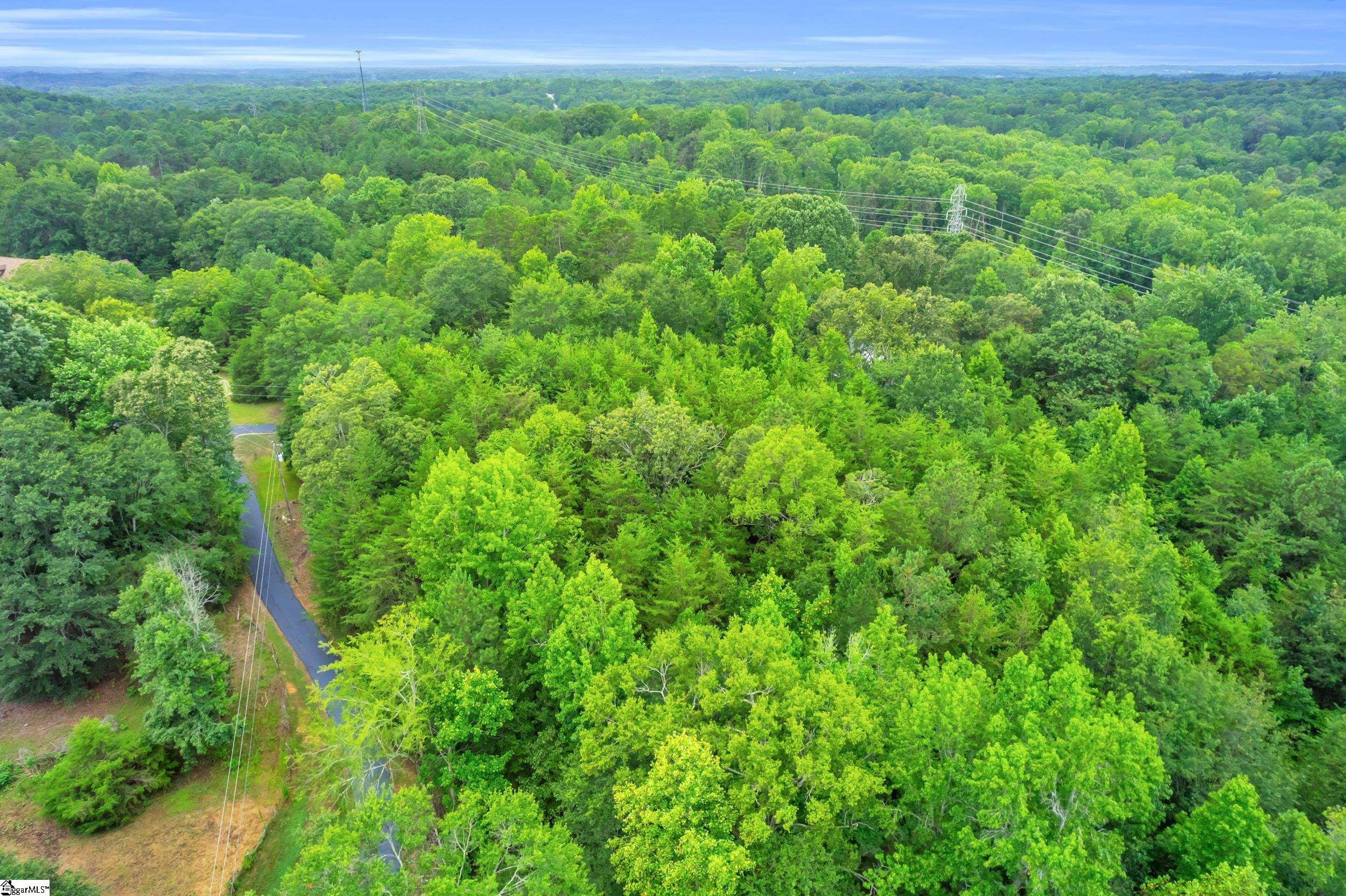 0 New Harrison Bridge Road Simpsonville, SC 29680 - Photo 20 of 20