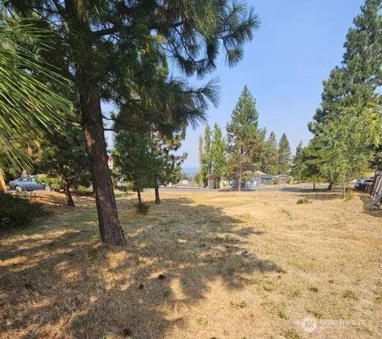 a view of outdoor space with trees