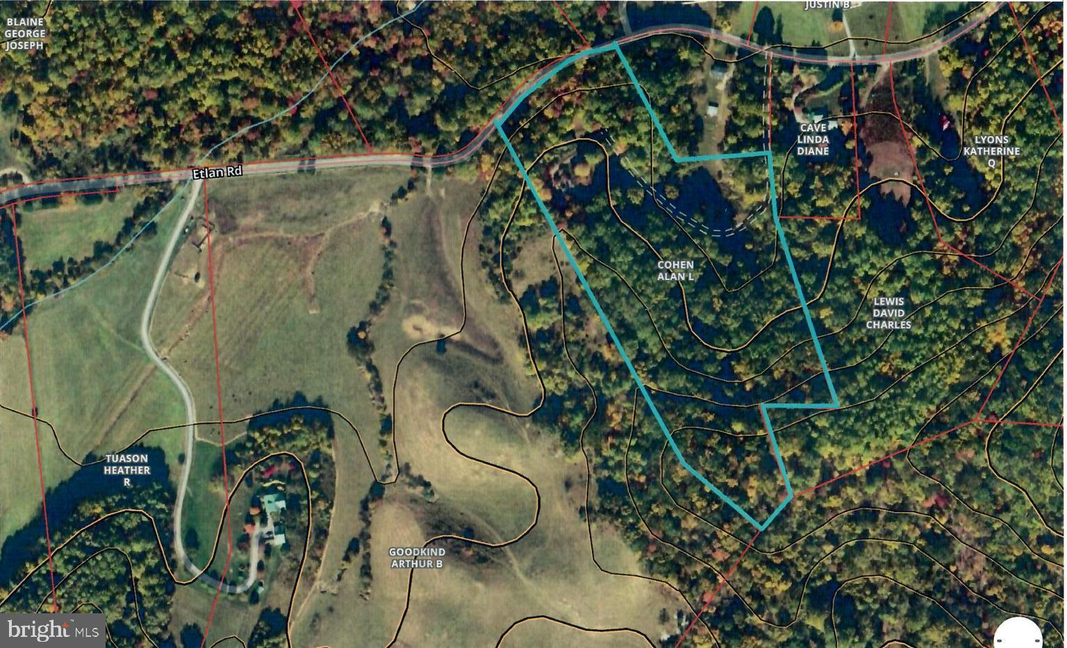 3016 Etlan Road Etlan, VA 22719 - Photo 42 of 42 Topo of the 2 lots