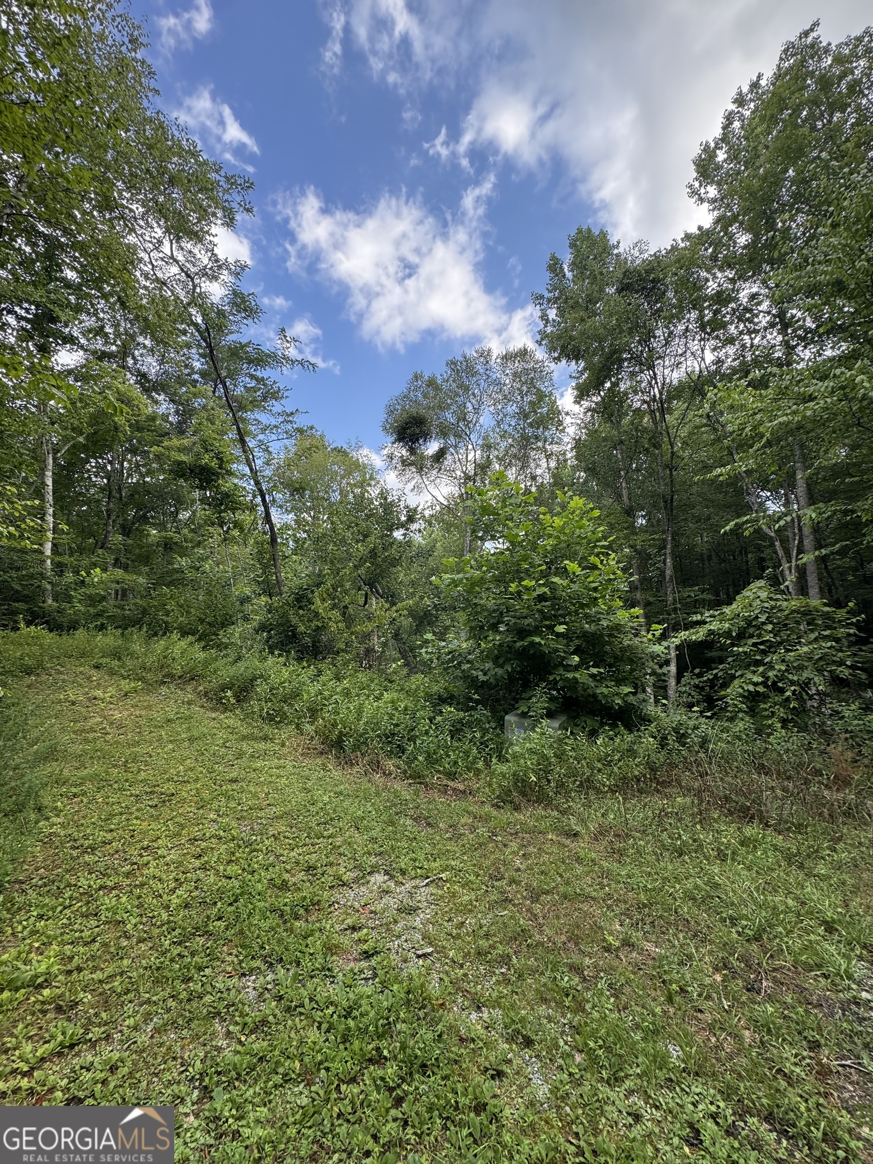 0 Crest Lane, Unit LOT 5 Rabun Gap, GA 30568 - Photo 2 of 5 a view of a green field with lots of bushes