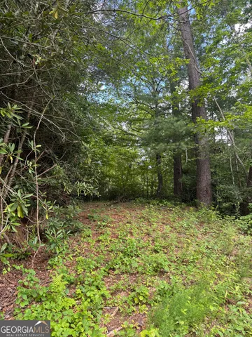 $40,000 | 0 Crest Lane, Unit LOT 5, Rabun Gap, GA 30568