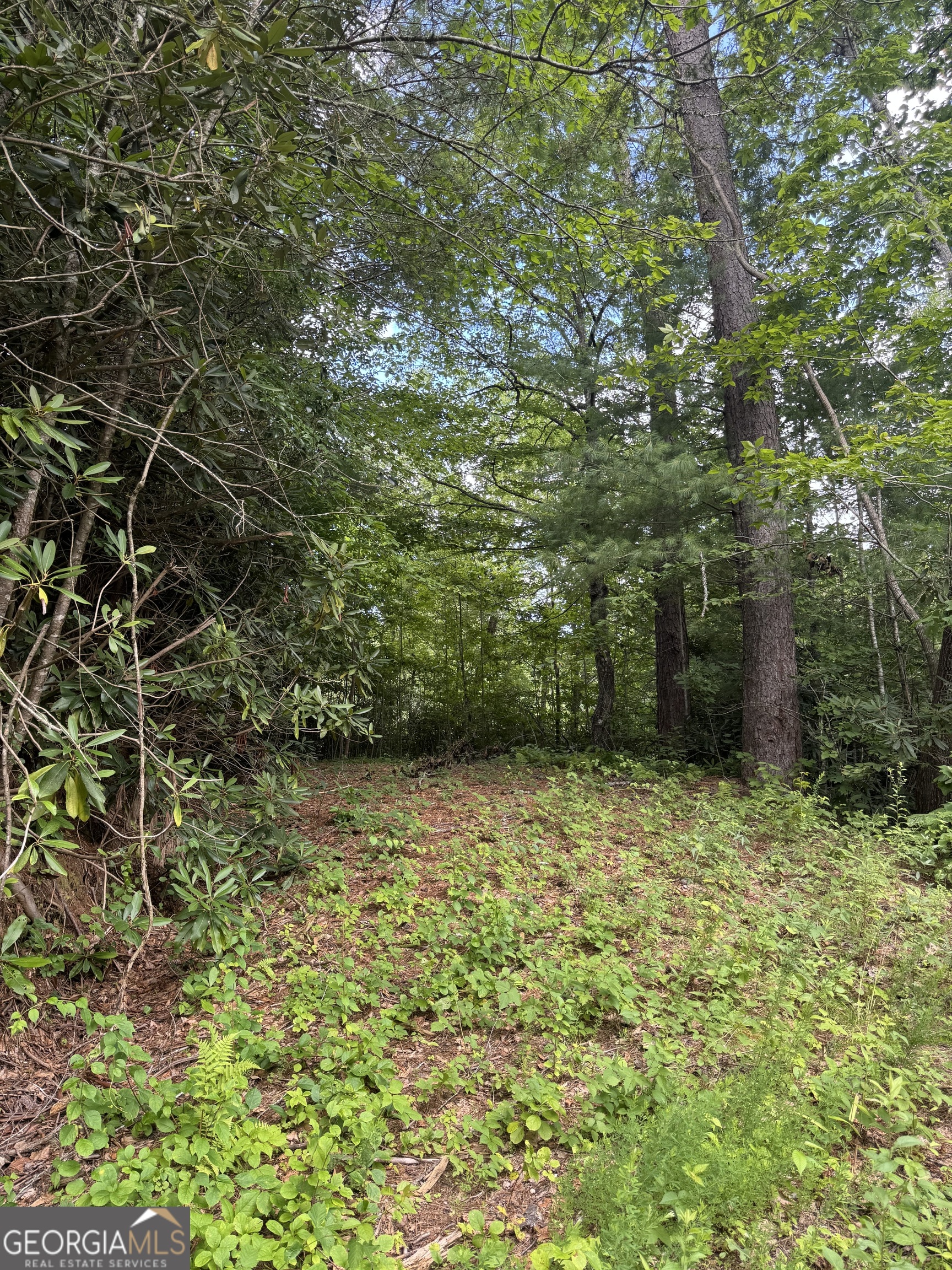 0 Crest Lane, Unit LOT 5 Rabun Gap, GA 30568 - Photo 5 of 5 a view of a backyard