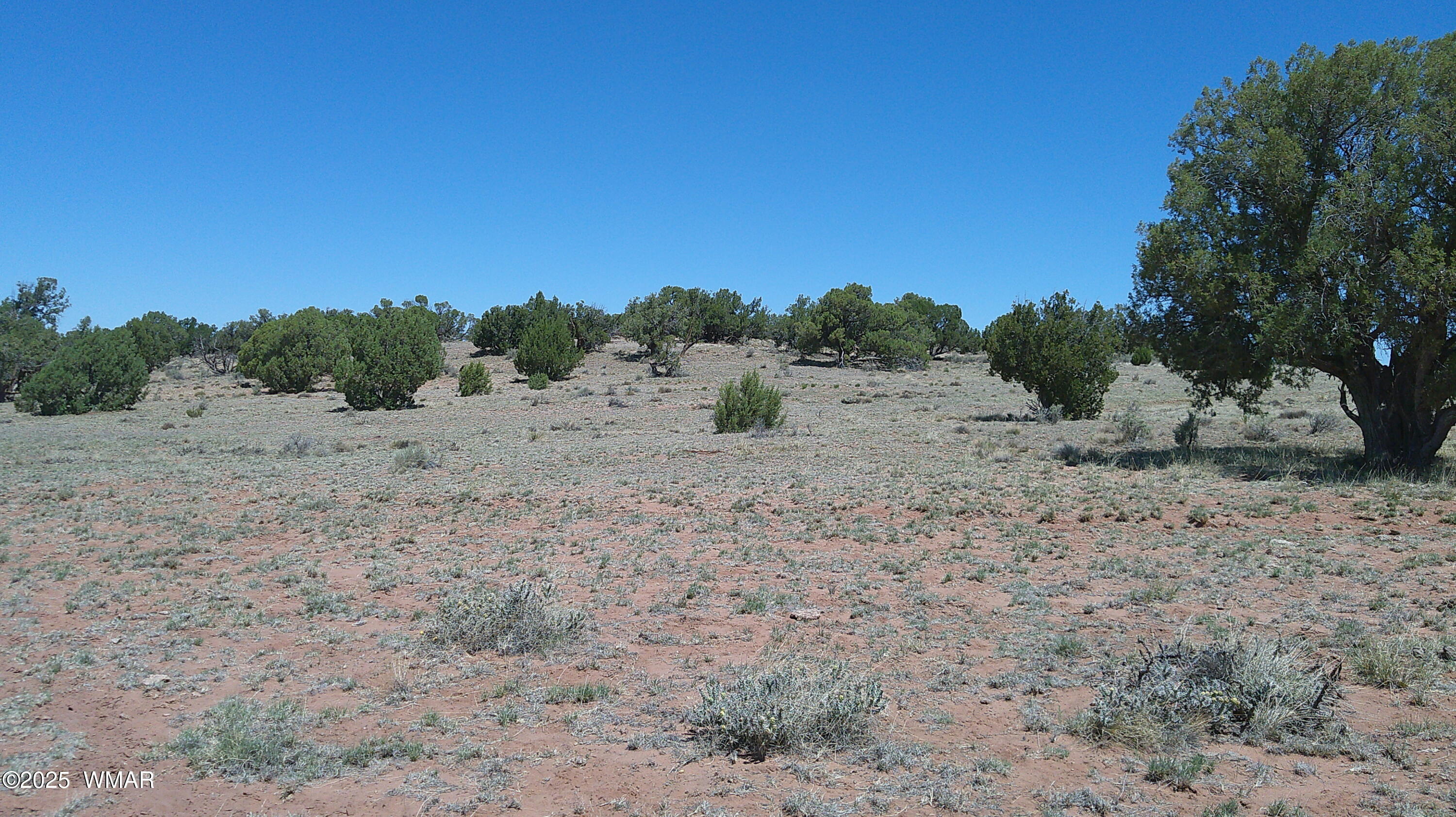 Tbd Tbd Rio Ranch Concho, AZ 85924 - Photo 11 of 44 DSCF0027