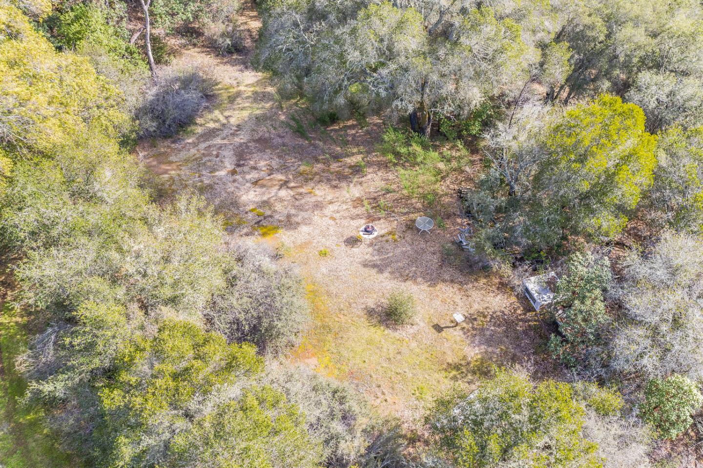 22200 Aldercroft Heights Road Los Gatos, CA 95033 - Photo 27 of 45 a view of a yard with trees and bushes