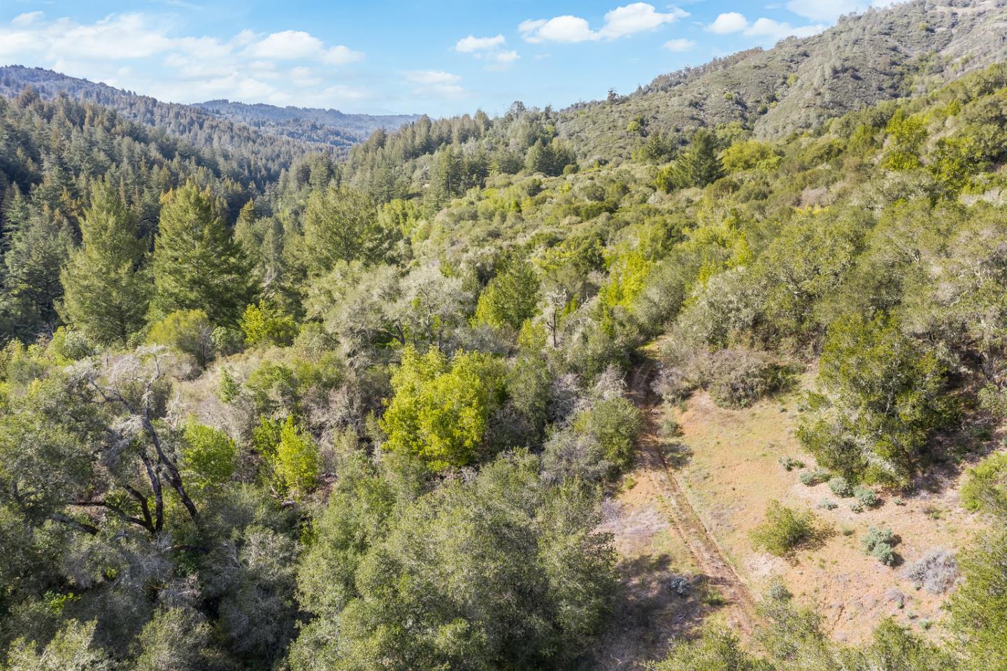 22200 Aldercroft Heights Road Los Gatos, CA 95033 - Photo 28 of 45 a view of a forest with a yard