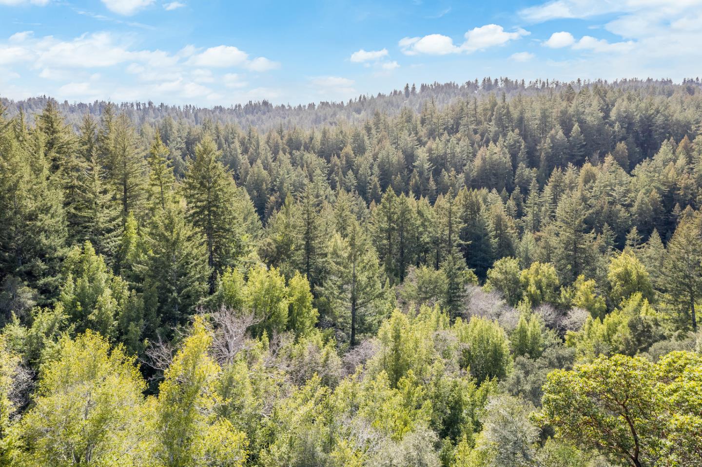 22200 Aldercroft Heights Road Los Gatos, CA 95033 - Photo 29 of 45 a view of a city and a forest