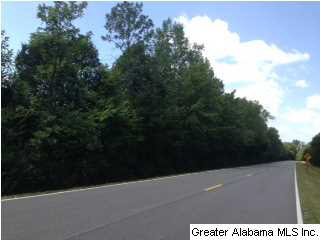 25 Rd Vincent Al Vincent, AL 35178 - Photo 12 of 22