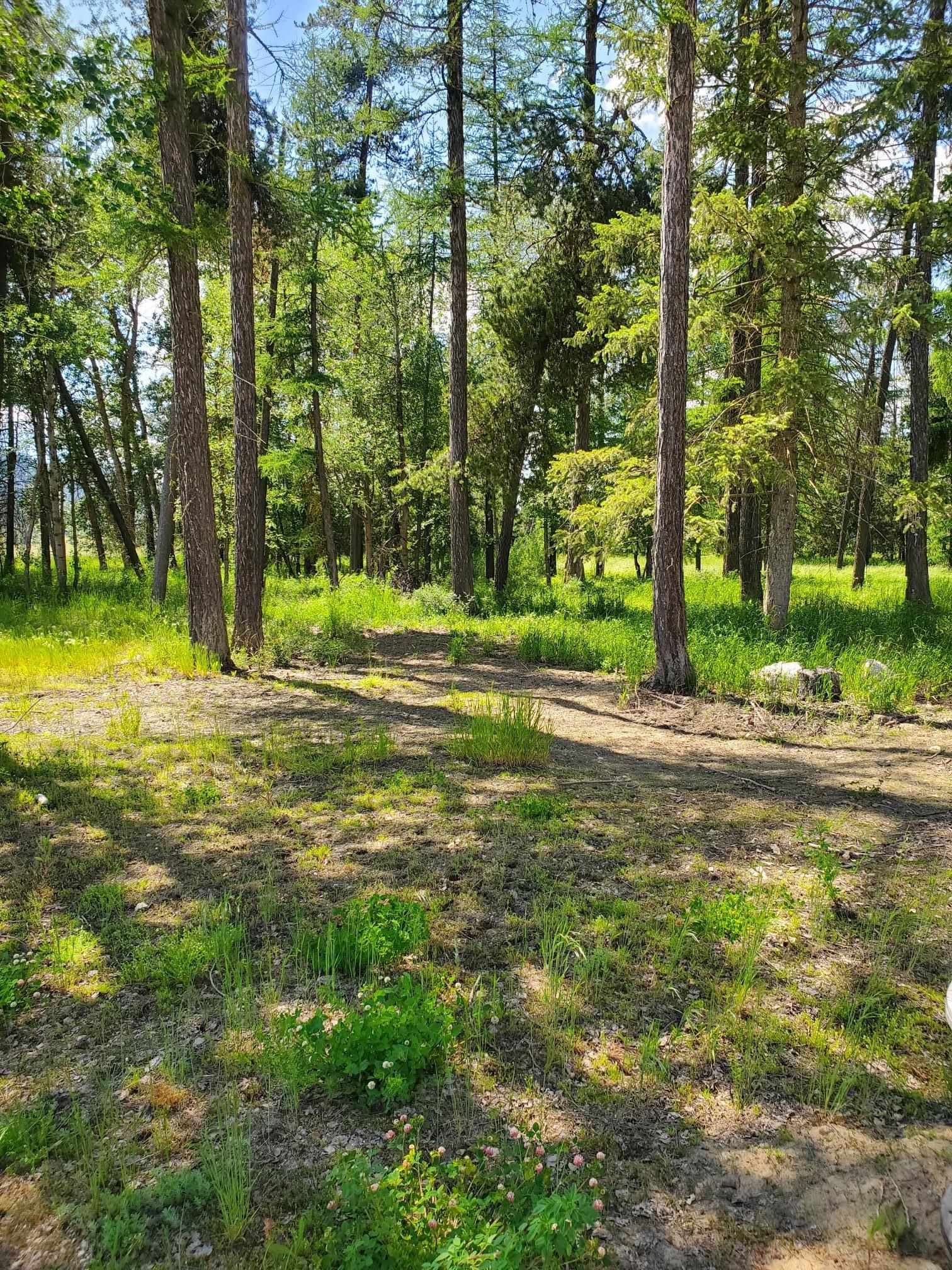 5166 Hattery-Owens Road, Unit PARCEL A Deer Park, WA 99006 - Photo 15 of 18