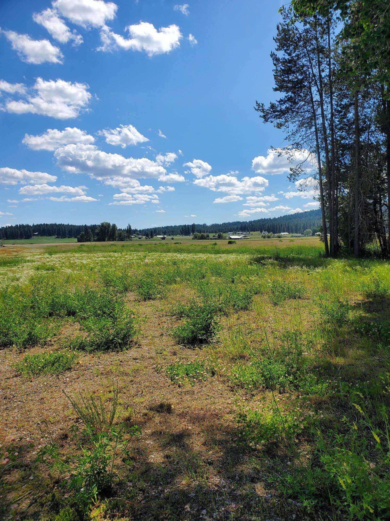 5166 Hattery-Owens Road, Unit PARCEL A Deer Park, WA 99006 - Photo 18 of 18